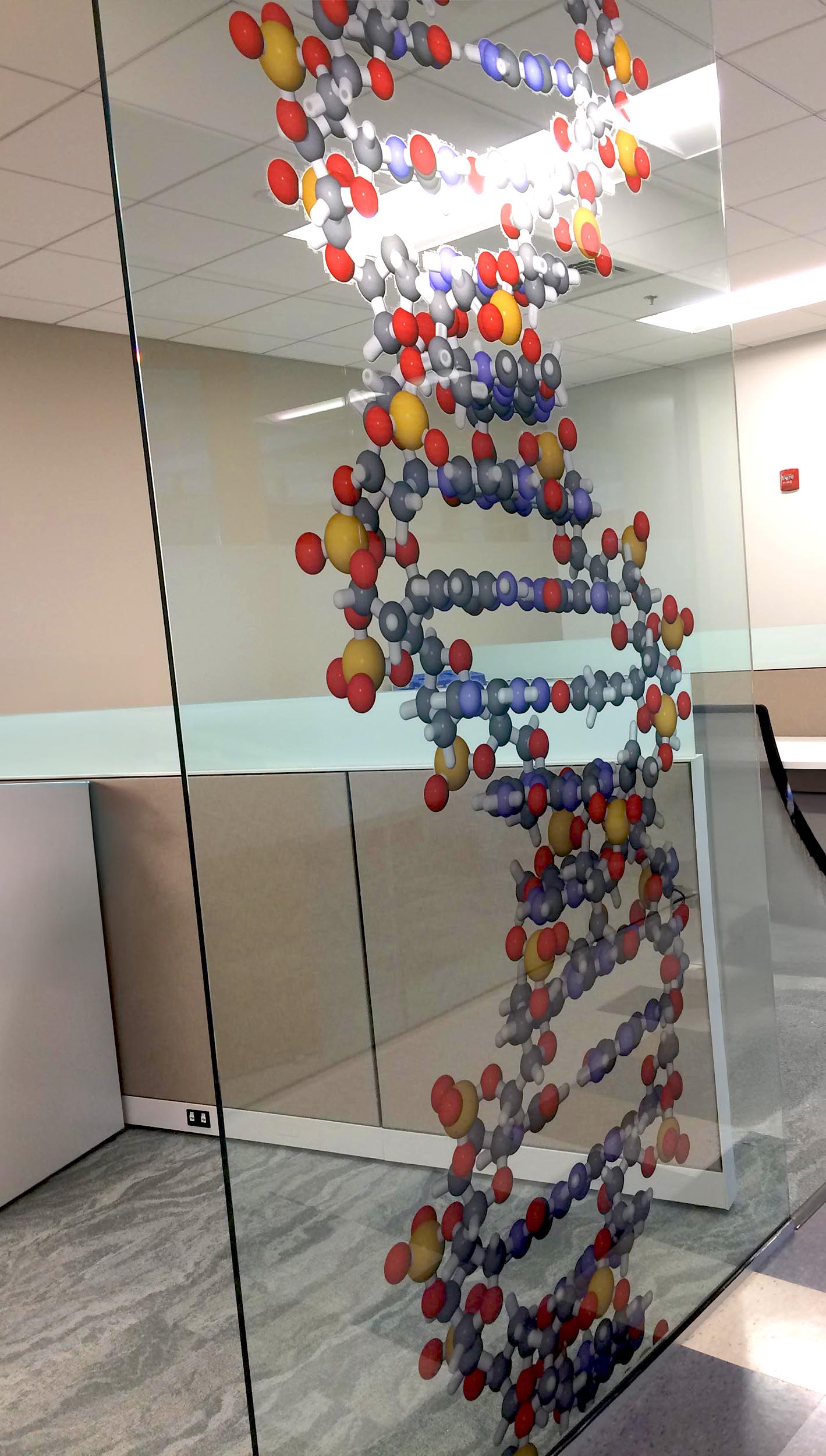 Custom printed window film graphic detail
